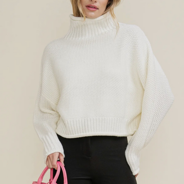 Winter Grace Knit Turtleneck