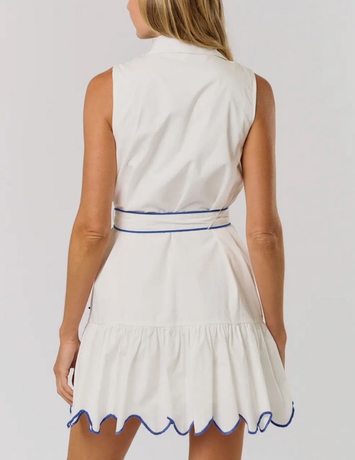 Elodie Embroidered Button Front Mini dress