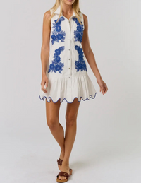 Elodie Embroidered Button Front Mini dress