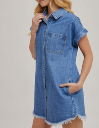 Cassidy Denim Shirt Dress