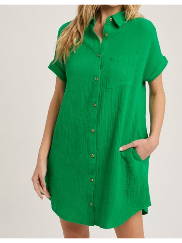 Emilie Classic Shirtdress